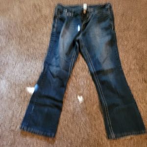 Maurices jeans size 18 short